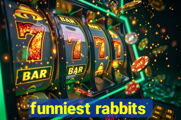 funniest rabbits