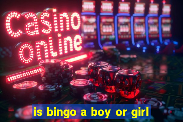 is bingo a boy or girl