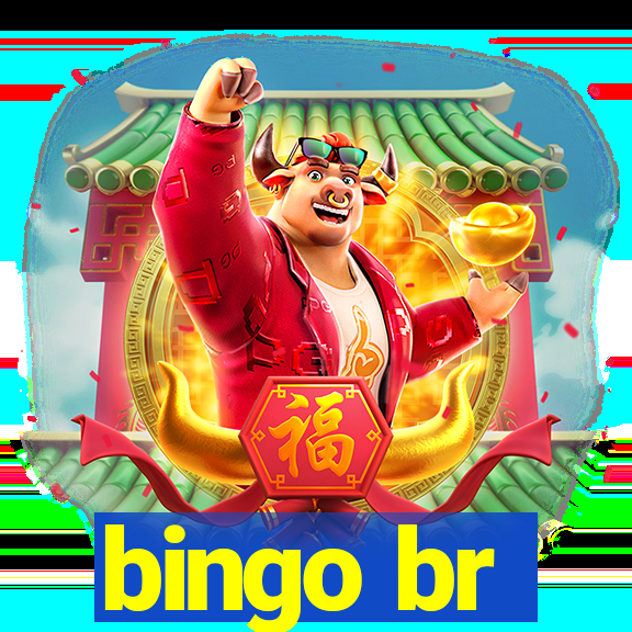 bingo br