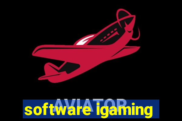 software igaming