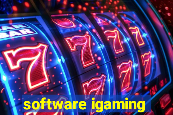 software igaming