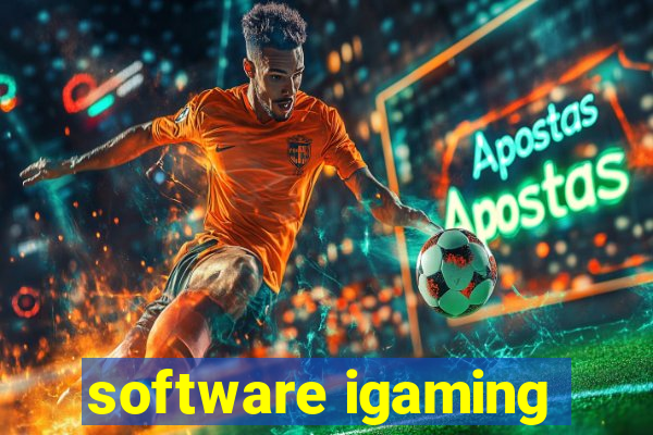 software igaming