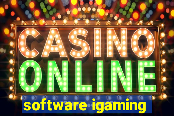 software igaming