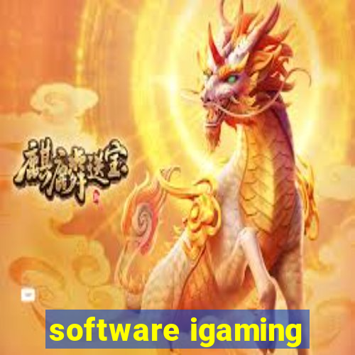 software igaming