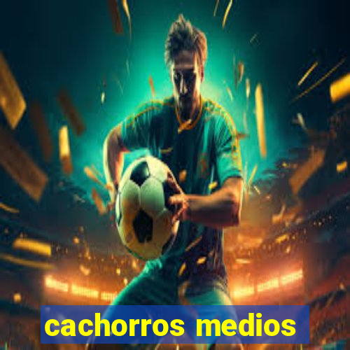 cachorros medios