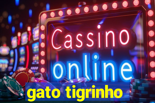 gato tigrinho