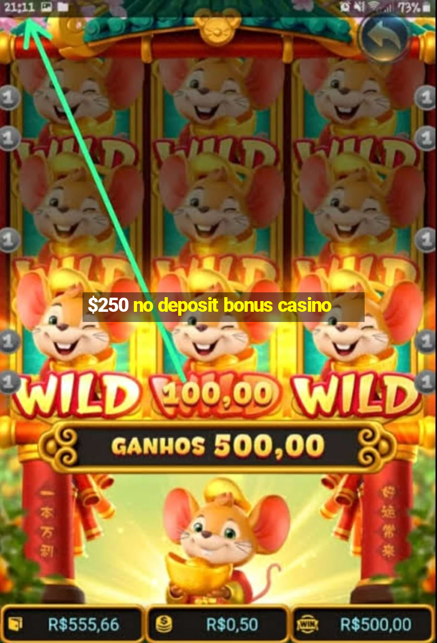 $250 no deposit bonus casino