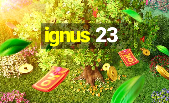 ignus 23