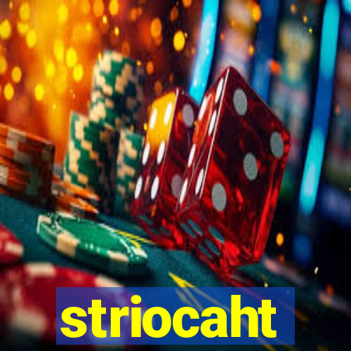 striocaht