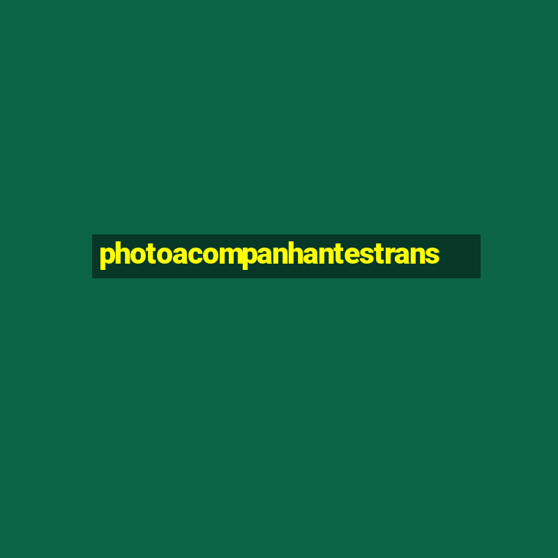 photoacompanhantestrans