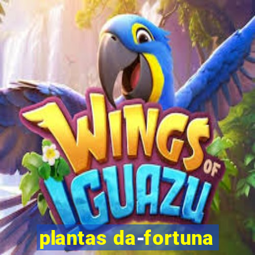 plantas da-fortuna