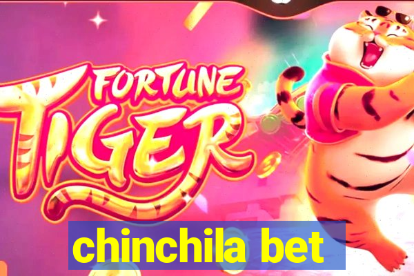 chinchila bet