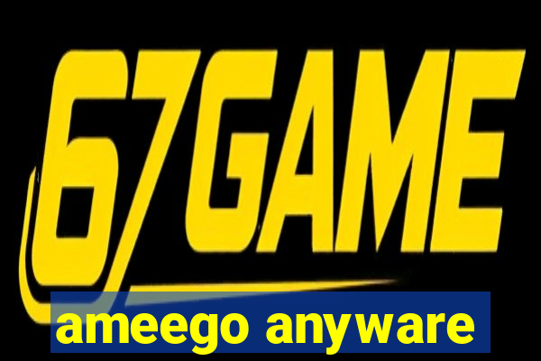 ameego anyware