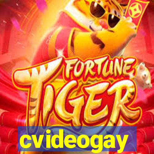 cvideogay