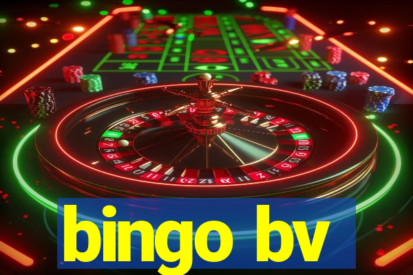 bingo bv