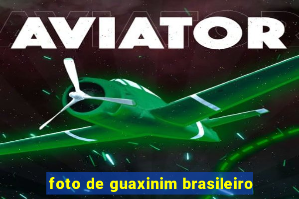 foto de guaxinim brasileiro