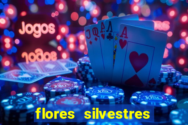 flores silvestres desbravadores desbravadores 25 flores silvestres e seus nomes