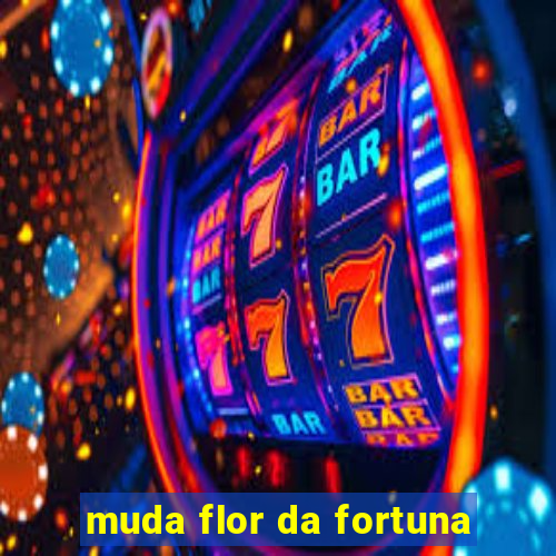 muda flor da fortuna