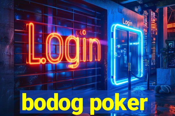 bodog poker