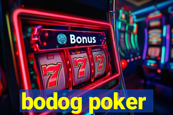 bodog poker