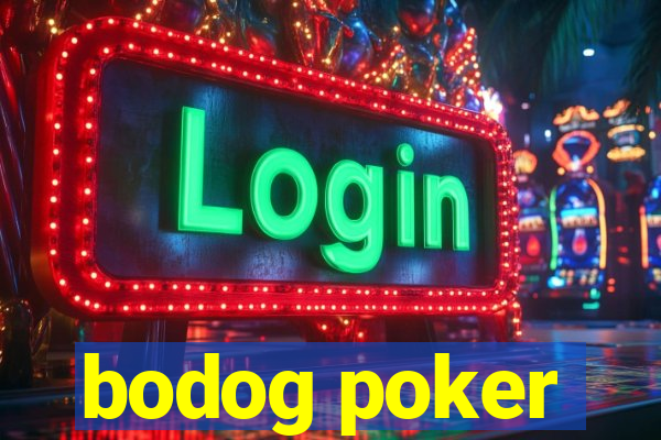 bodog poker