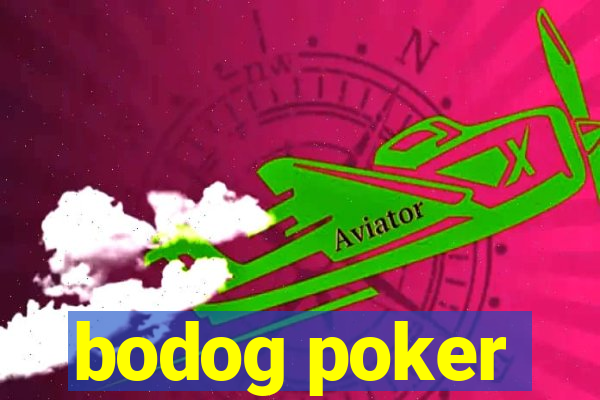 bodog poker