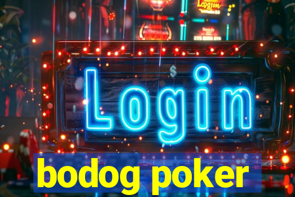 bodog poker