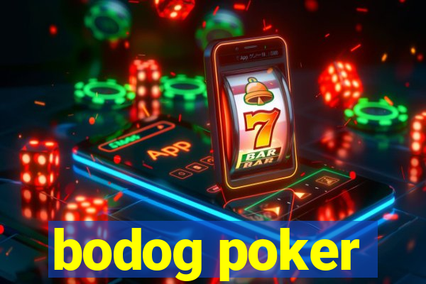 bodog poker