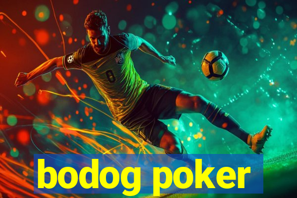 bodog poker