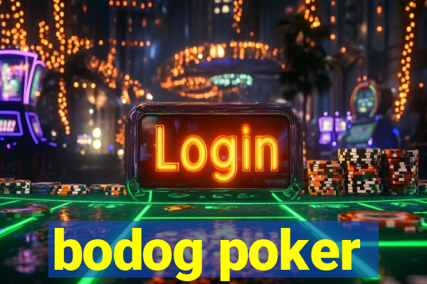 bodog poker