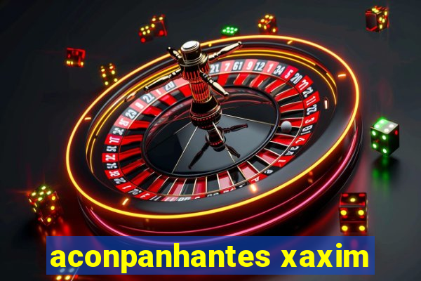 aconpanhantes xaxim