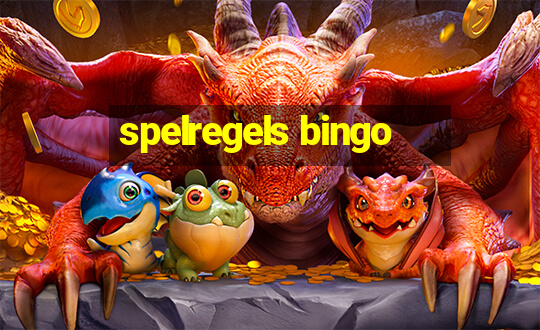 spelregels bingo