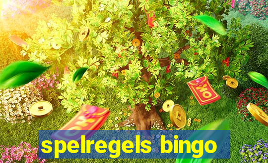 spelregels bingo