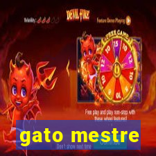 gato mestre