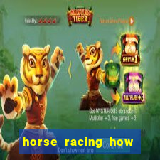 horse racing how to bet