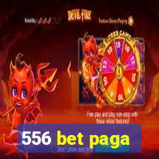 556 bet paga