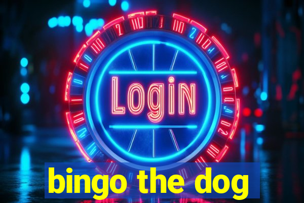 bingo the dog