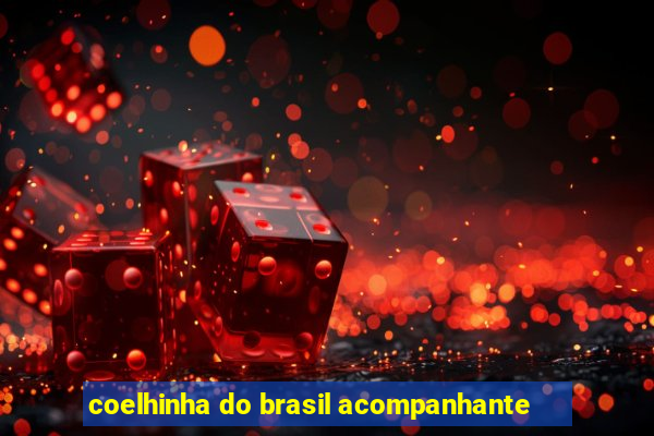 coelhinha do brasil acompanhante