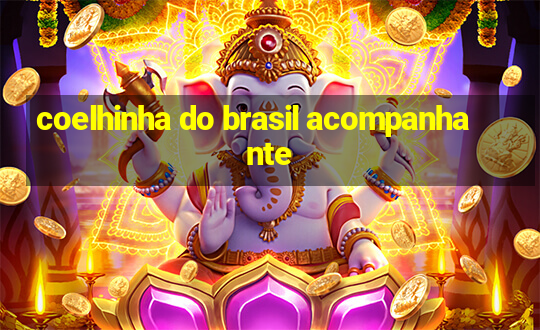 coelhinha do brasil acompanhante