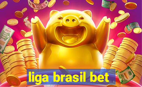 liga brasil bet