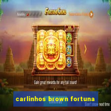 carlinhos brown fortuna