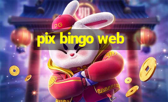 pix bingo web