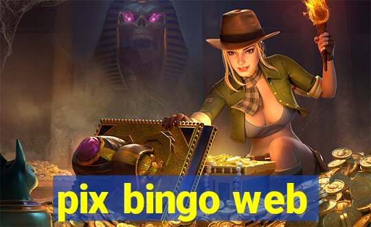 pix bingo web