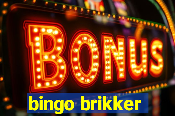 bingo brikker