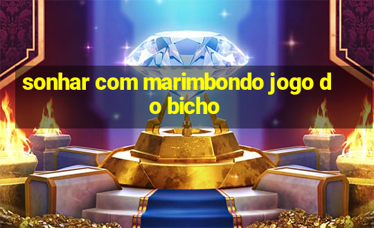 sonhar com marimbondo jogo do bicho