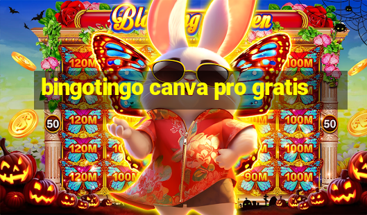 bingotingo canva pro gratis