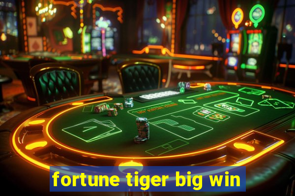 fortune tiger big win