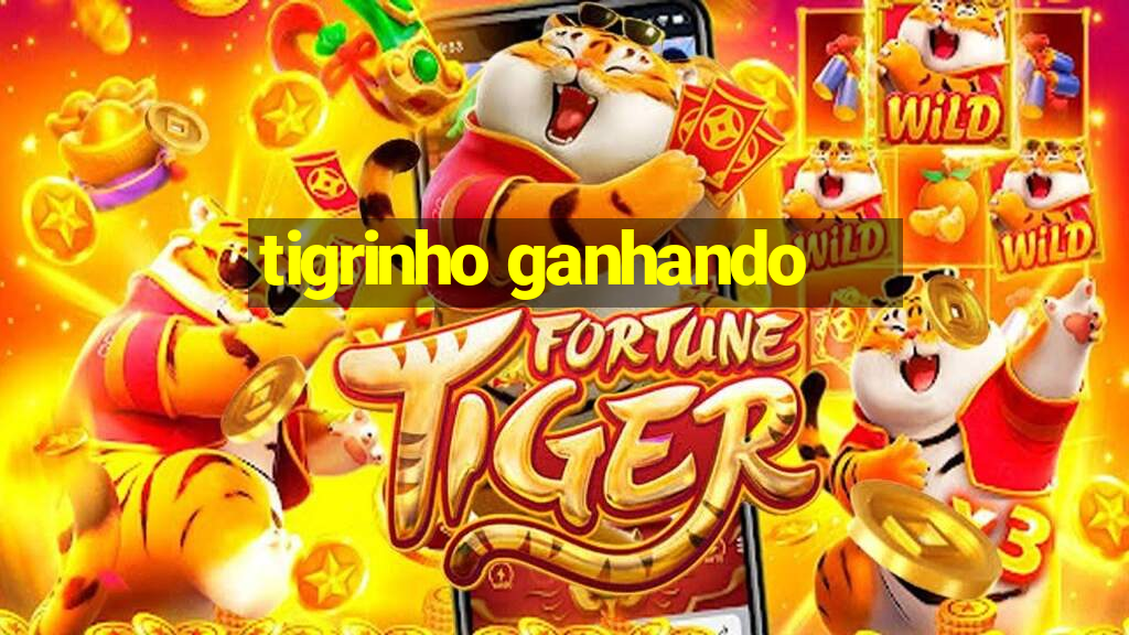 tigrinho ganhando