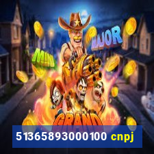 51365893000100 cnpj