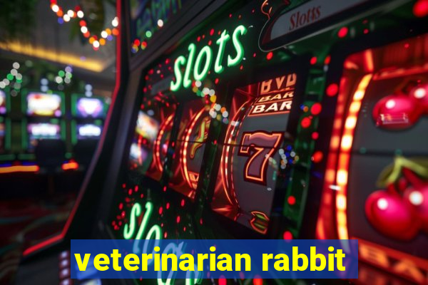 veterinarian rabbit